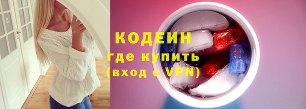 спиды Каменка