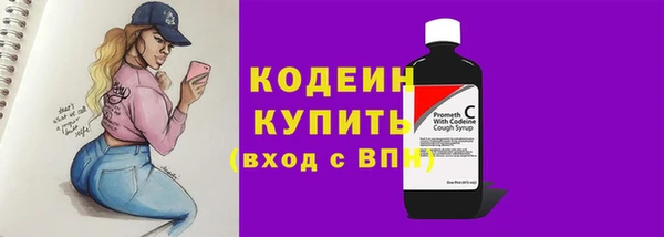 спиды Каменка
