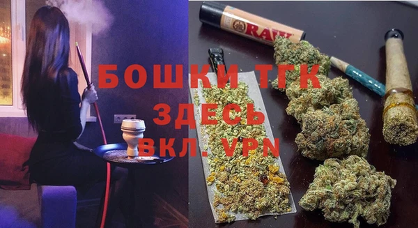 спиды Каменка