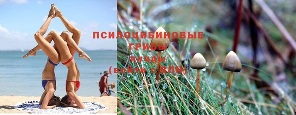 кокаин Каменногорск