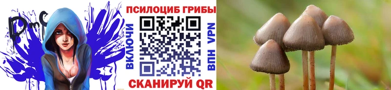 MEGA tor  Мглин  Псилоцибиновые грибы GOLDEN TEACHER 